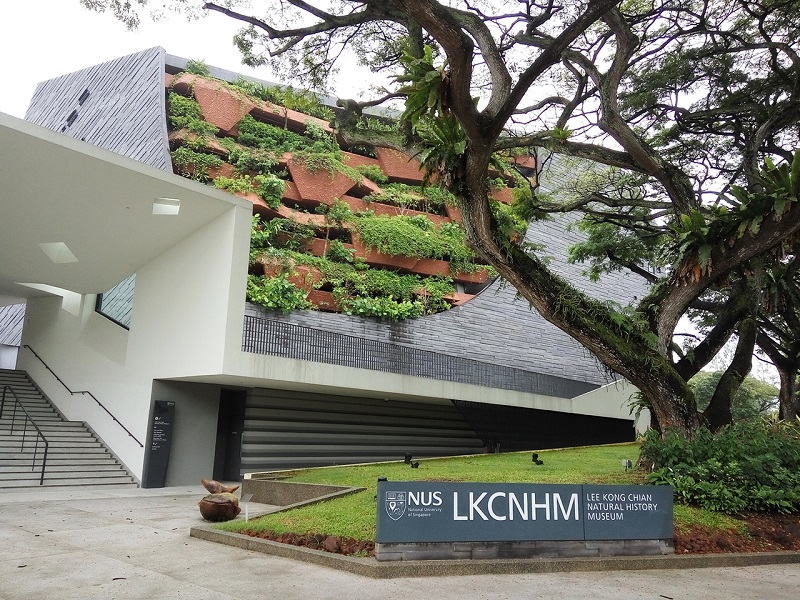 The Lee Kong Chian Natural History Museum, LKCNHM (located in the NUS campus) is really a nice place to see the remains of 3 dinosaurs, and a sperm whale. 