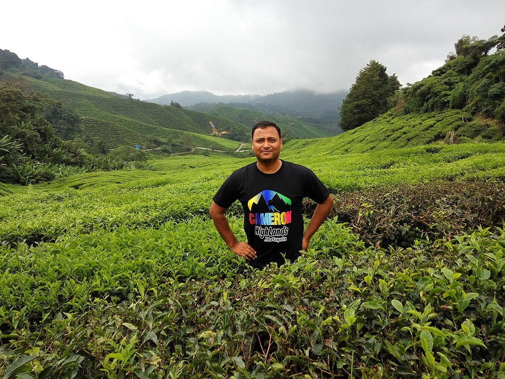 Boh Tea Plantation, Cameron Highlands, Malaysia –Southeast Asia has lot in the store.