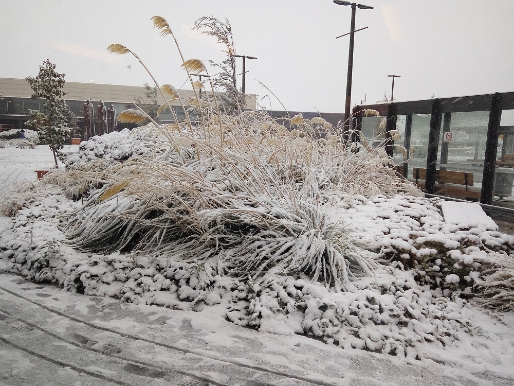 First day of snowfall in Queenstown – I was able to see the snowfall as my flight was cancelled. It was a blessing in disguise.