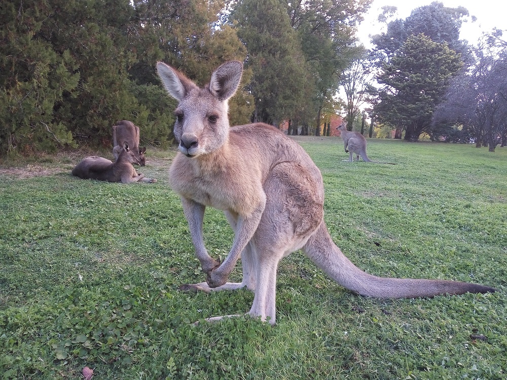 Too close – we were just a half meter apart. And this guy was constantly staring at me, and I was busy taking photos.