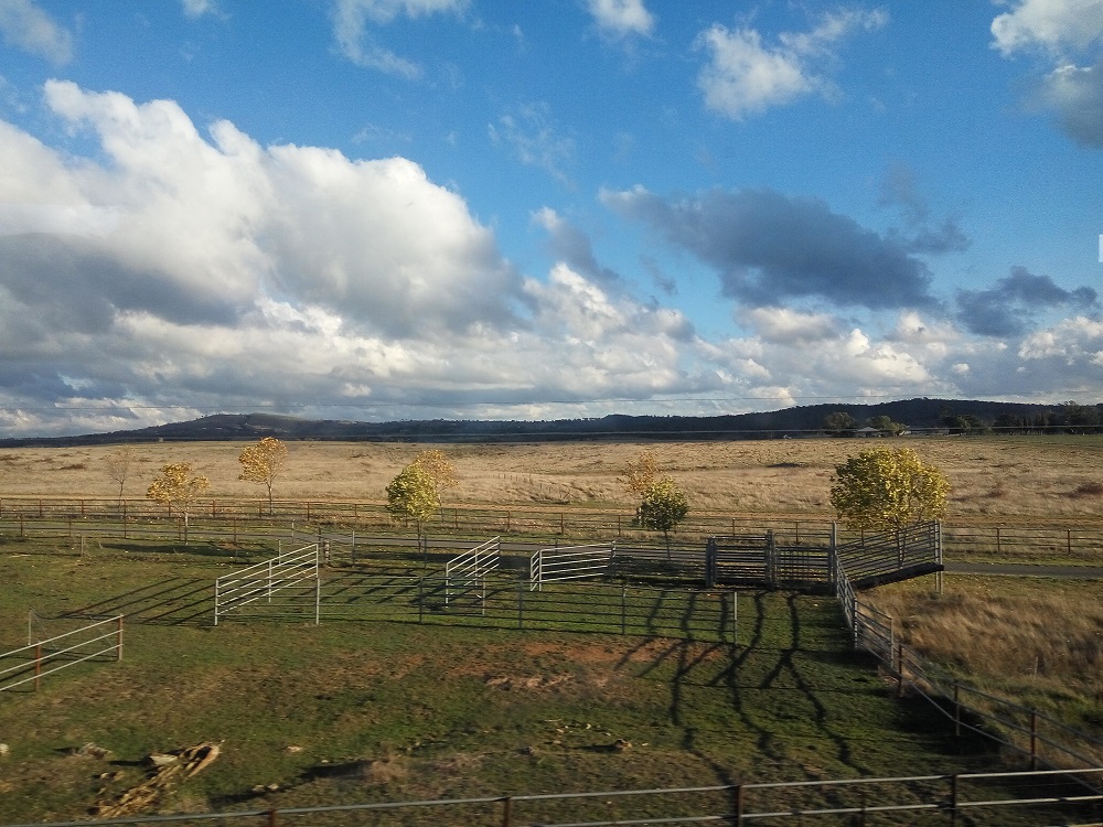 Greenfields, clouds and sunshine. 