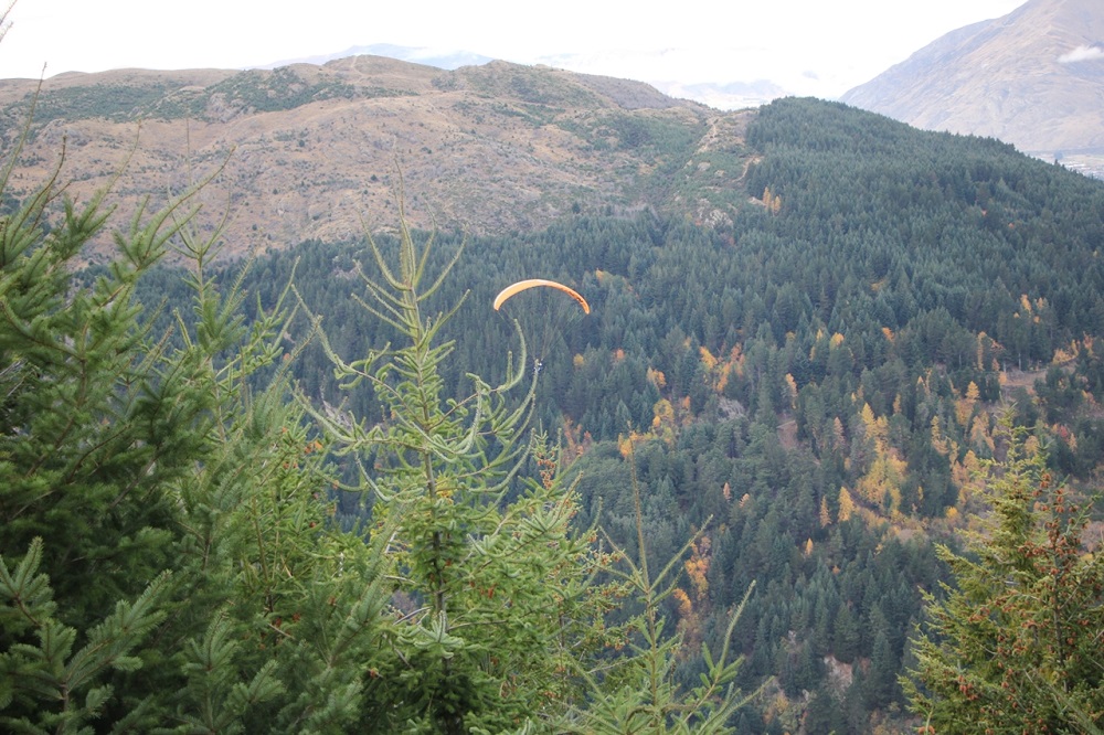 Queenstown Paragliding.