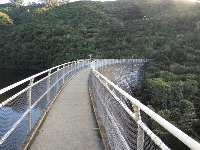 Zealandia Ecosanctuary, Wellington.