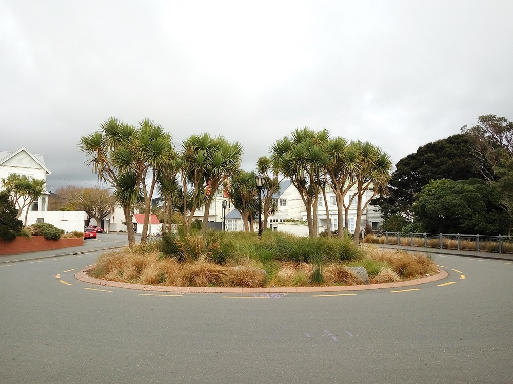 Trees outside the museum.