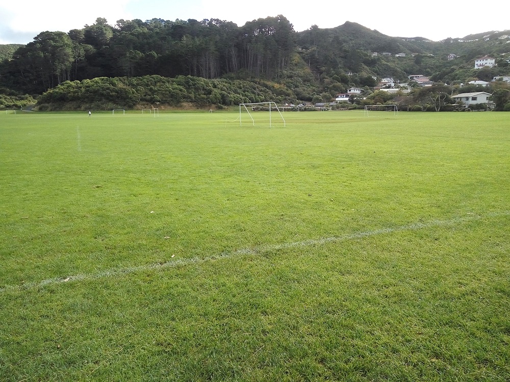 Karori Park, Wellington.