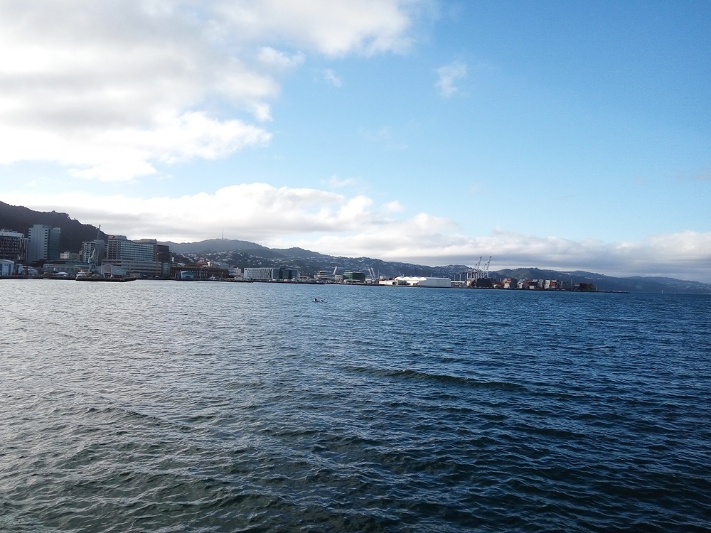 View from the Queens Wharf, Wellington.