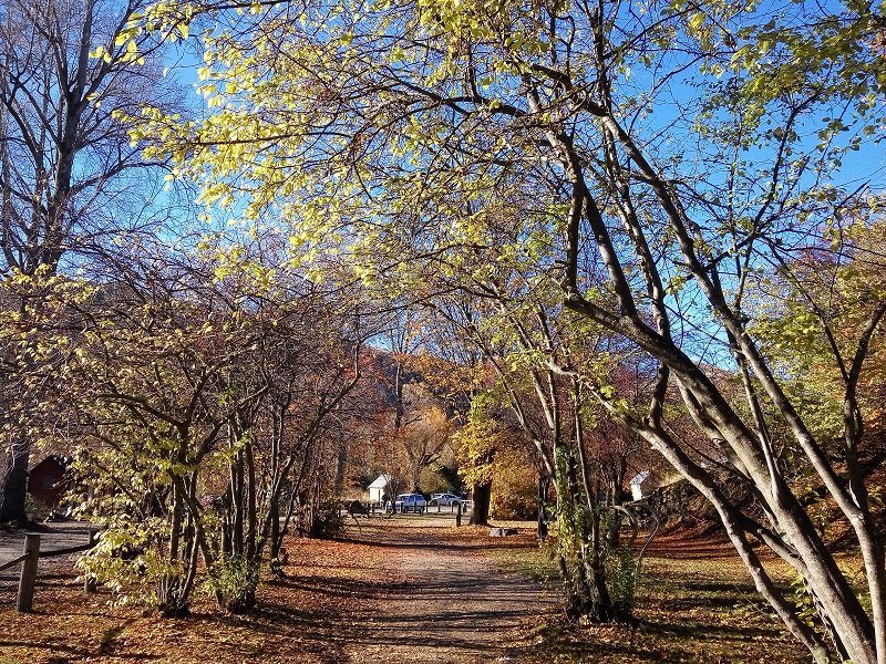 The Arrowtown scenery. New Zealand tourism, rocks! :)