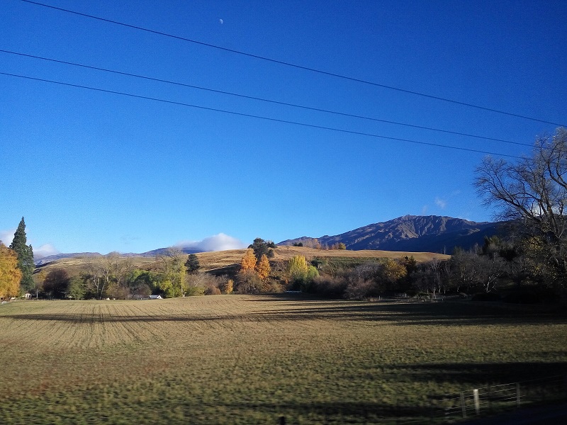 Photo clicked from a moving bus when I was on my way to Arrowtown.