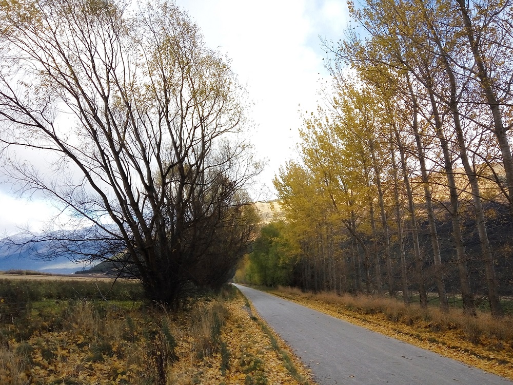 Memorable trip - Queenstown to Glenorchy drive.