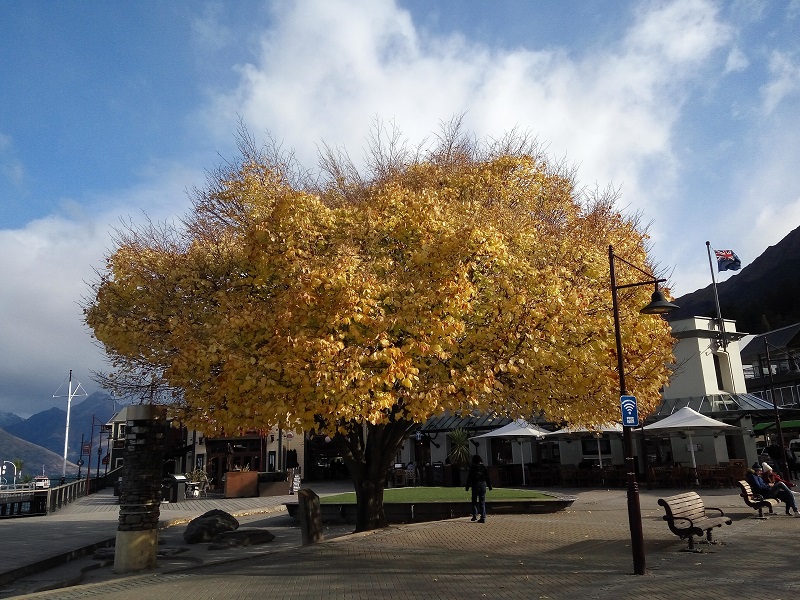 Queenstown downtown. 