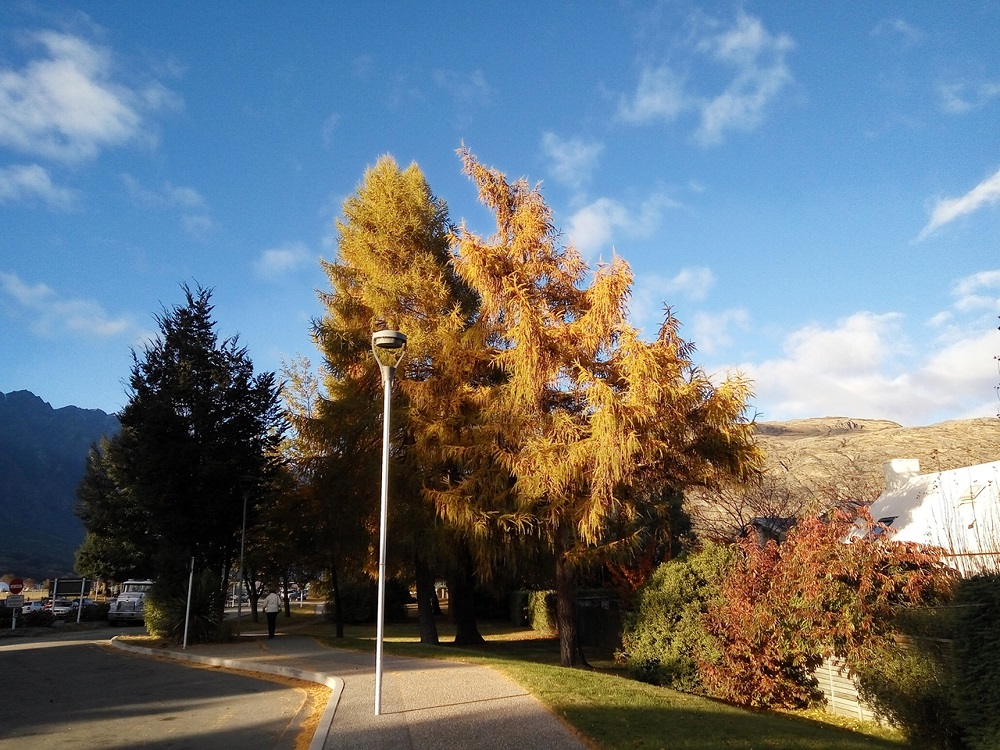 Scenery on the way from Queenstown to Arrowtown.