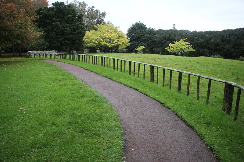 Cornwall Park, Auckland. 