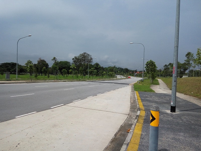 My beloved Singapore – clean and green. 