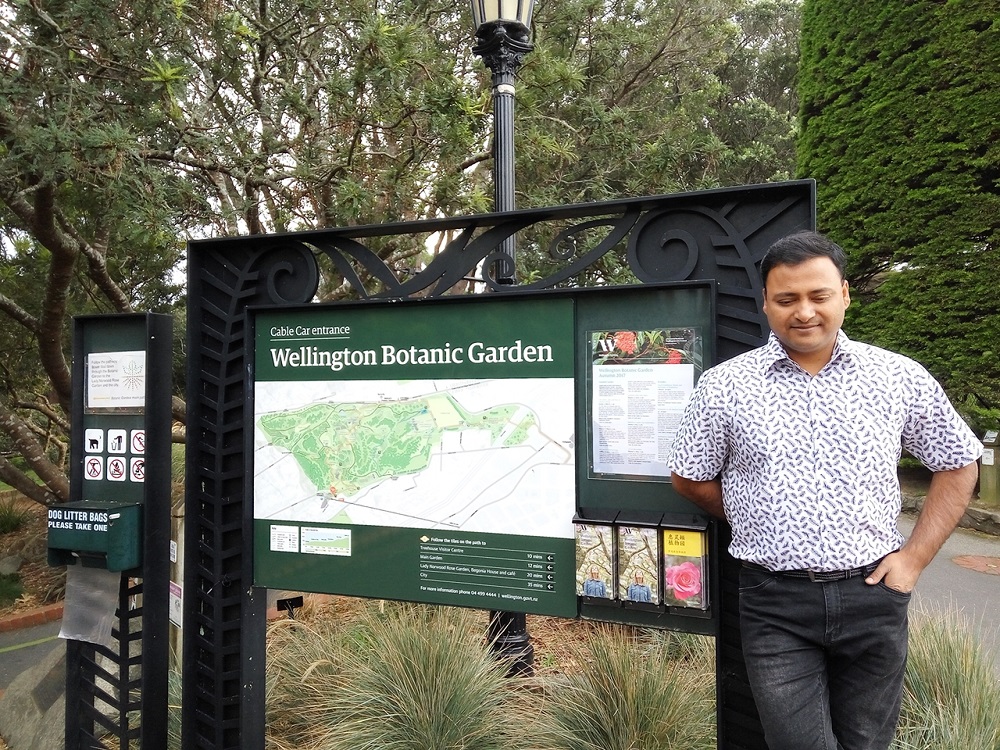 Wellington city - Botanic Garden.