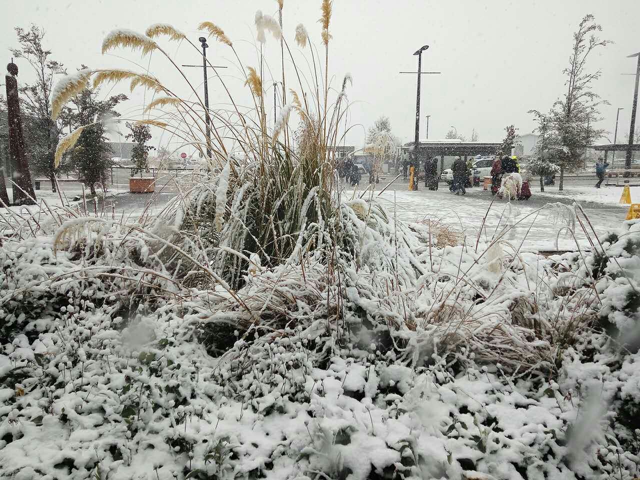 First day of snowfall in Queenstown!