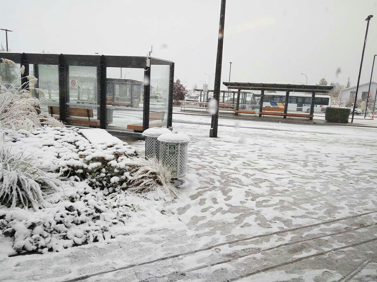 Queenstown airport bus stops.