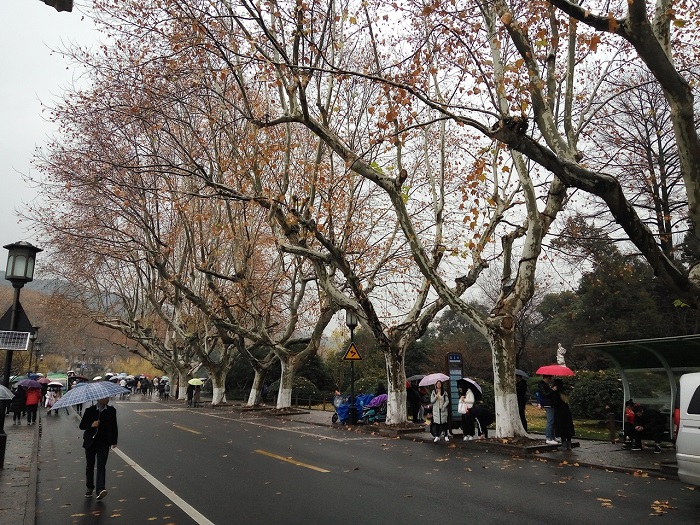 Hangzhou city West Lake scenic area on a rainy day.