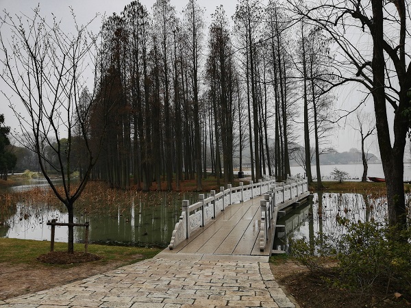 Wuxi’s Yuantouzhu peninsula- its located slightly far from the downtown, but it’s absolutely worth the visit. 