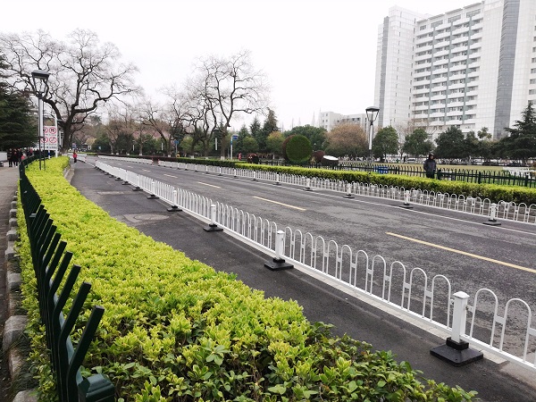 Clean and green Nanjing city road.