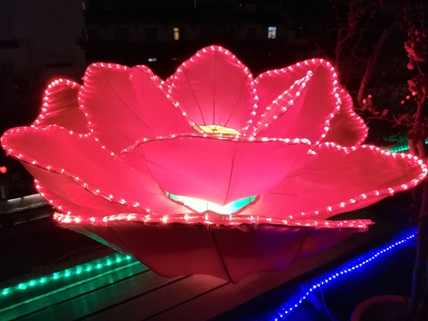 An Illuminated flower at my hotel - well, Nanjing nightlife is quite vibrant. Make sure to select a good accommodation in Nanjing city.