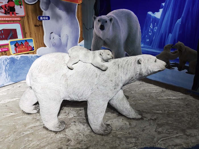 Polar bear at Hefei Sea World Aquarium. Entry fee –RMB 280/person. 
