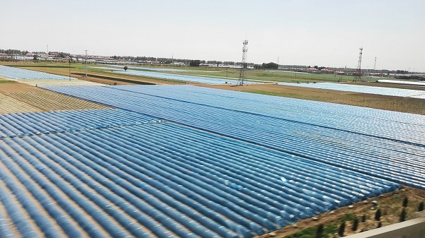 Photo from a China fast train.