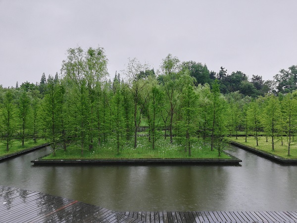 Tai Mountain Park (Taishan) on a rainy day, Taizhou city.