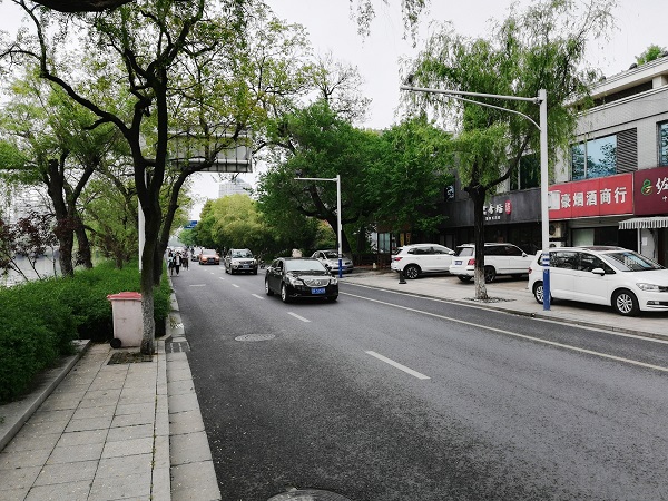 A clean and green Nantong road on a rainy day. 
