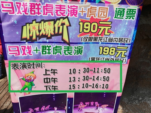 Timing of safari in the Harbin Siberian Tiger Reserve. 