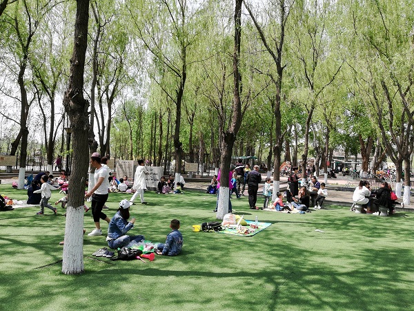 Some of the tiger park visitors relaxing and some enjoying picnic.