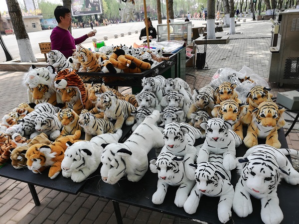 Souvenir tiger cubs in Harbin Tiger Reserve.