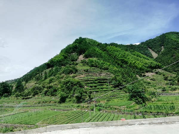 Scenery in Huangshan city – I took this photo from a moving bus. 