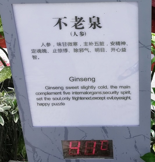Ginseng Spring (41’ Celsius)– the red colored spring. 