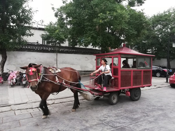 Famous Qufu light carriage drawn by a horse.