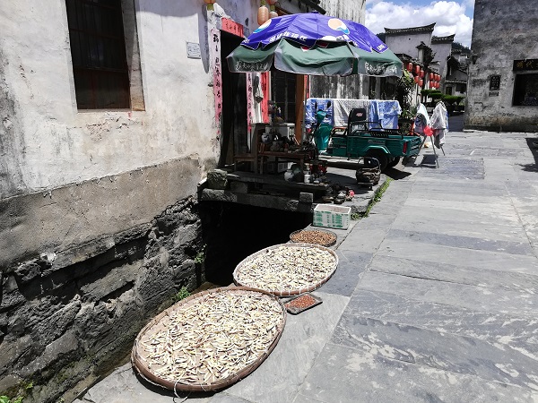A typical street in the Xidi ancient village (Anhui, China).