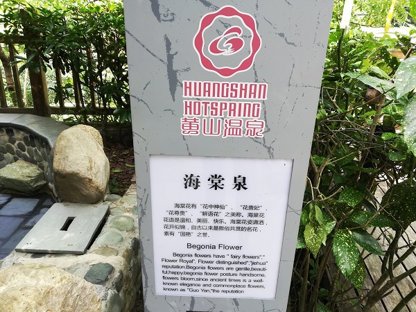 Huangshan Hot Springs –Begonia flower. 