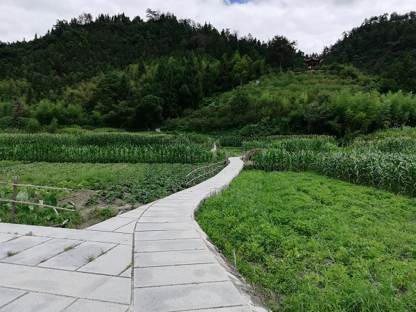 Xidi village scenery. 