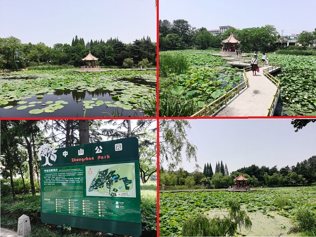 Zhongshan Park a beautiful park in Qingdao, Shandong of China.
