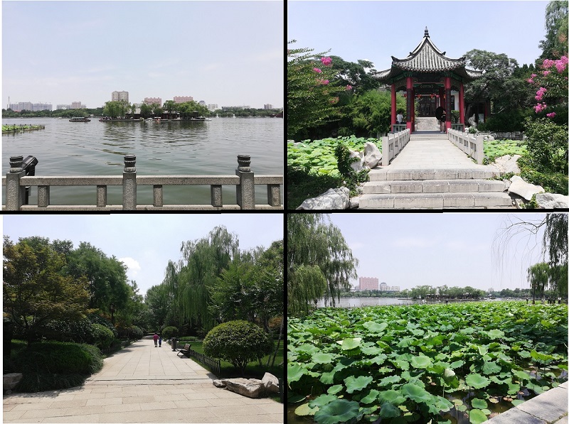 Scenery at Daming Lake Park, Jinan city, Shandong, China.