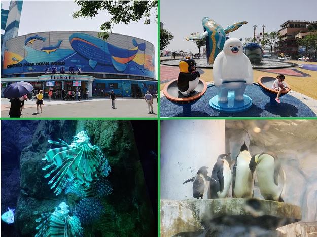 Polar Ocean World, Qingdao | Shandong, China Travel Guide & Review.