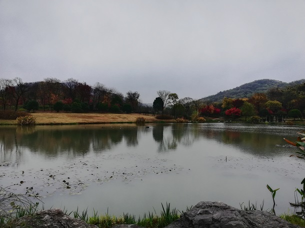 Nanshan park on a rainy day.