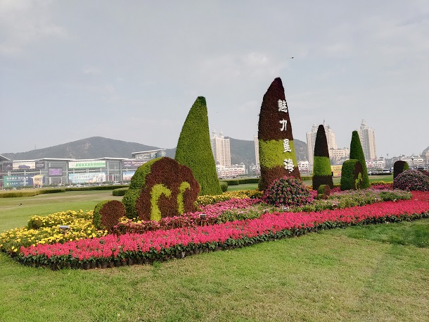 Flowers – Dalian is a beautiful city. 