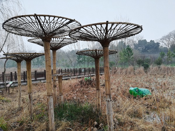 Mingyue Park on a rainy day.