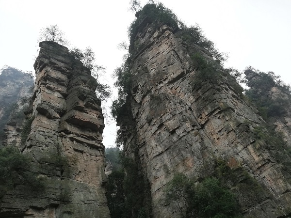 Zhangjiajie National Forest Park.